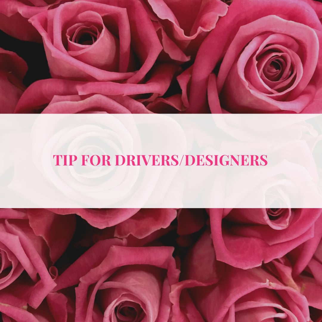 driver/designer tip